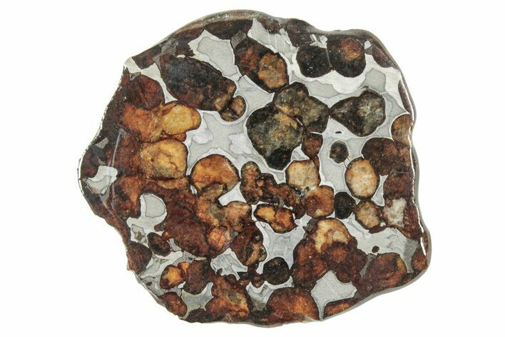 Sericho Pallasite Meteorite ( g) Slice - Kenya #335753